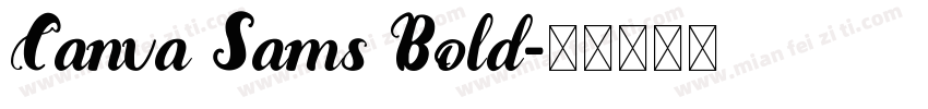 Canva Sams Bold字体转换